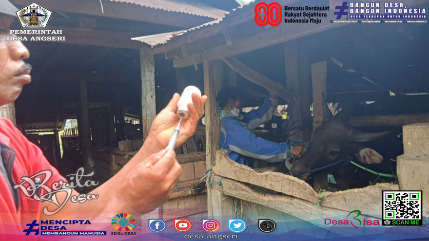 UPTD PUSKESWAN I Tabanan Gelar Vaksinasi PMK untuk Selamatkan Ternak Sapi di Desa Angseri